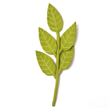 Hoja Ash en Felpa Color Verde Limón