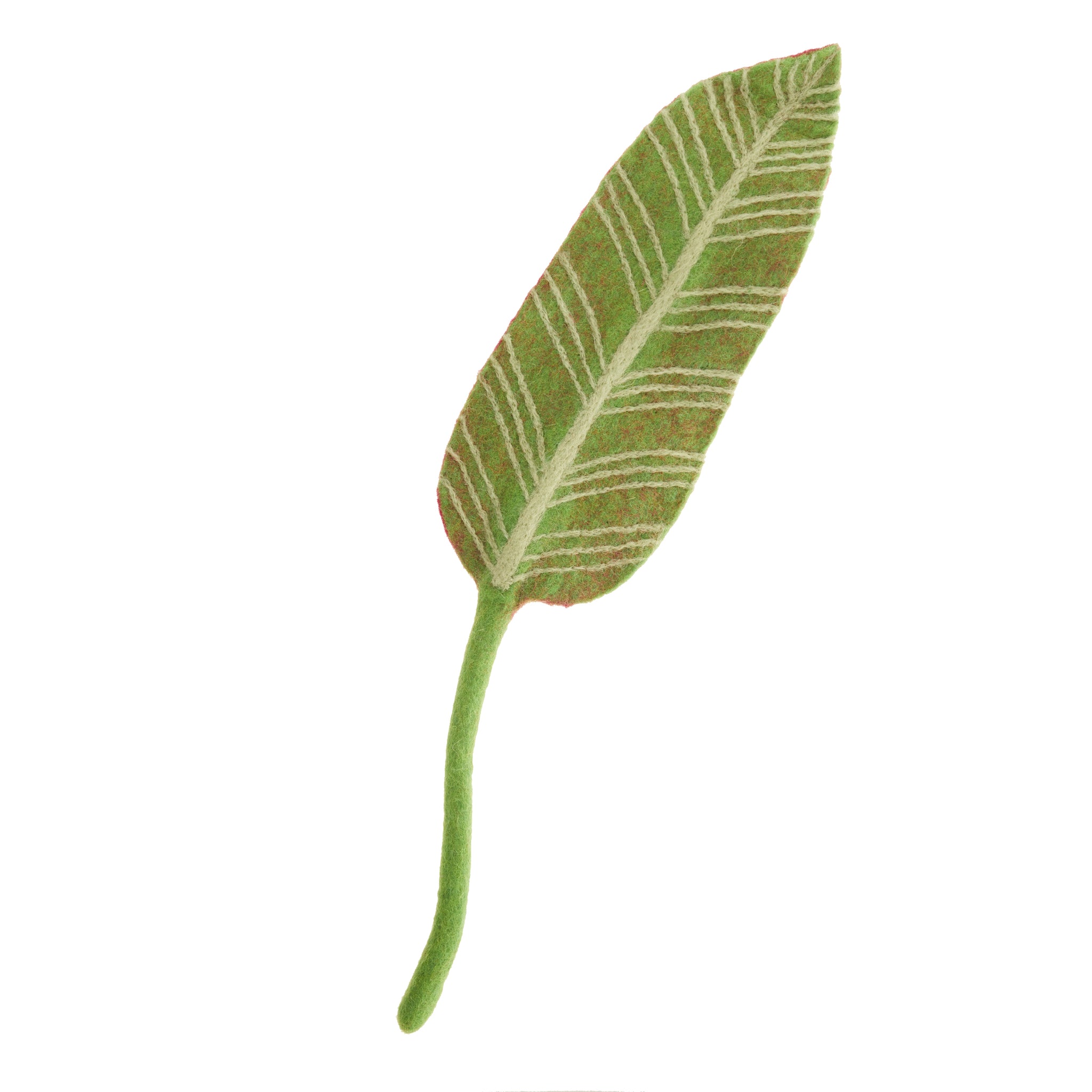 Hoja Calathea en Felpa